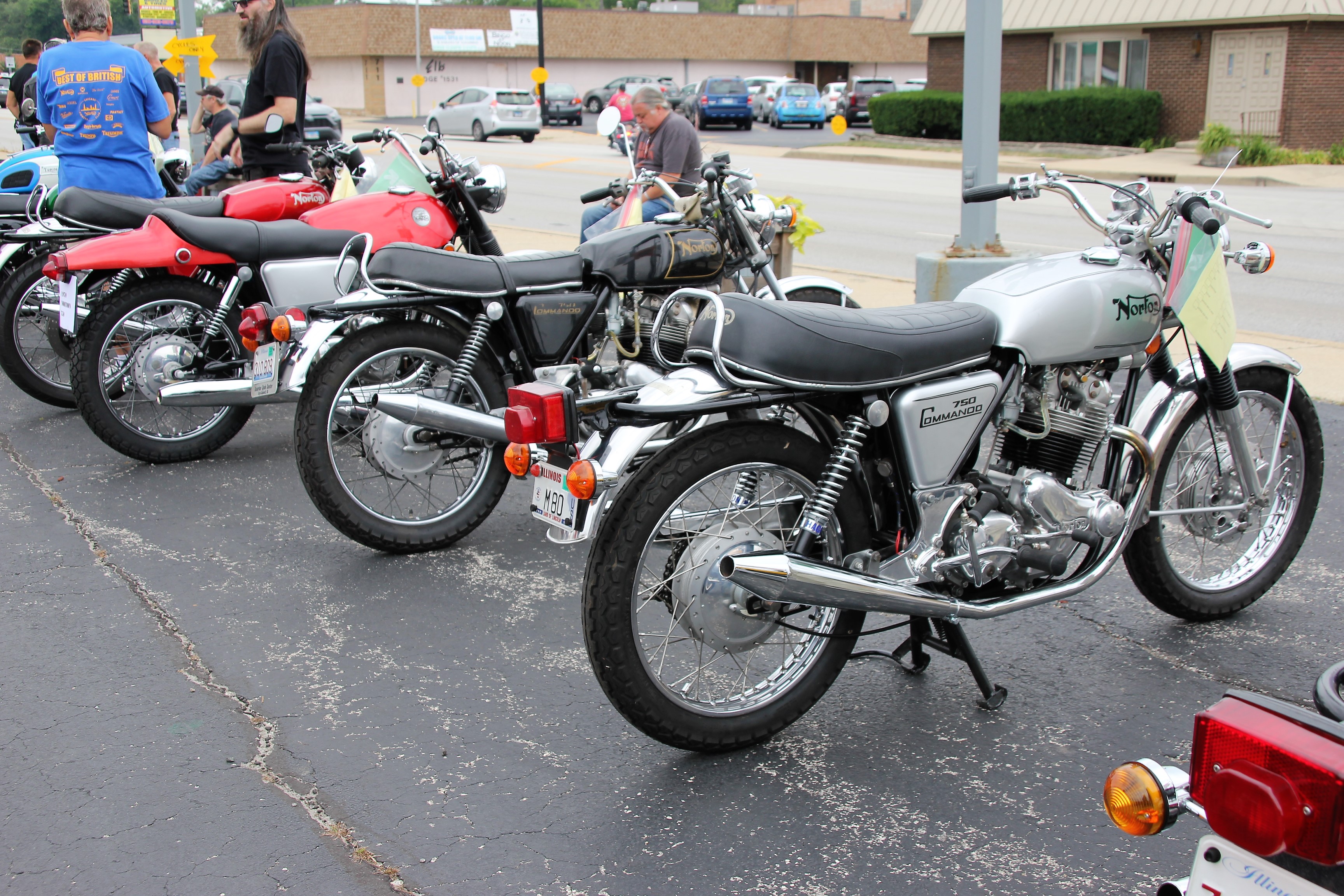 Norton